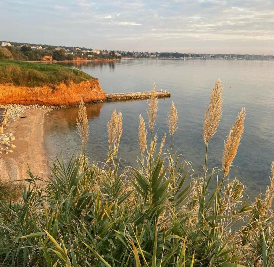 Mobile Homes Kamp Maslina, Biograd Na Moru Exterior foto