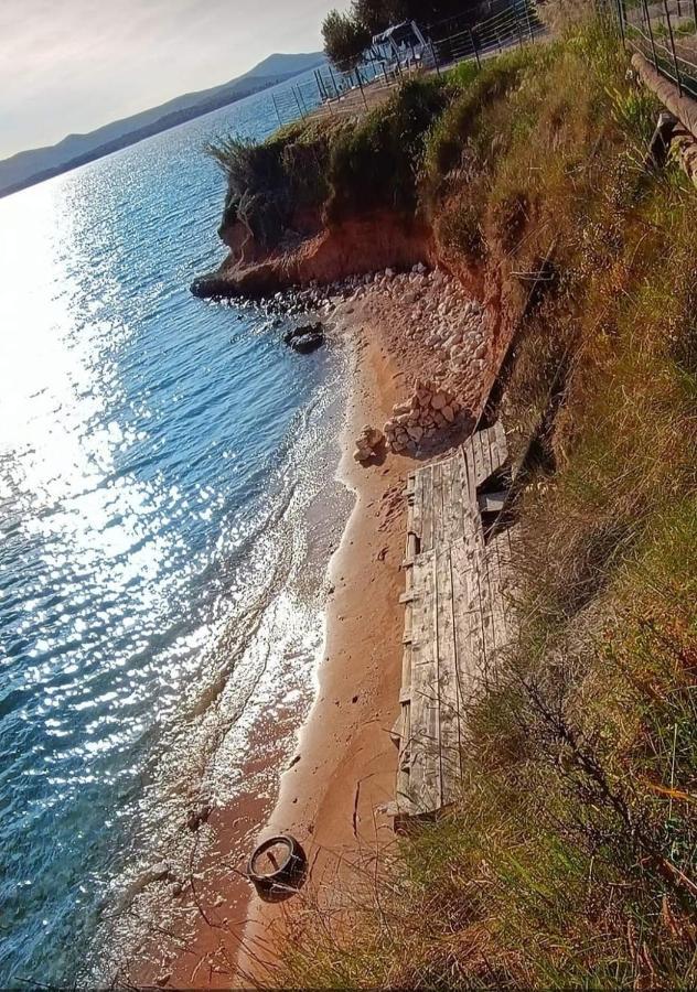 Mobile Homes Kamp Maslina, Biograd Na Moru Exterior foto